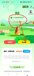 竹笋